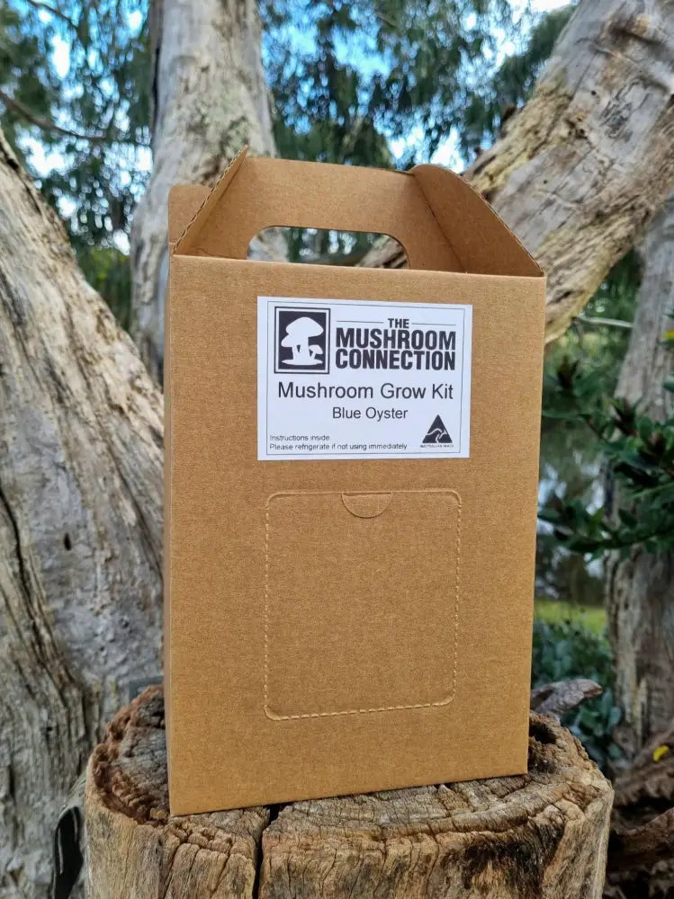 Blue Oyster Mushroom Grow Kit - The Mushroom Connection