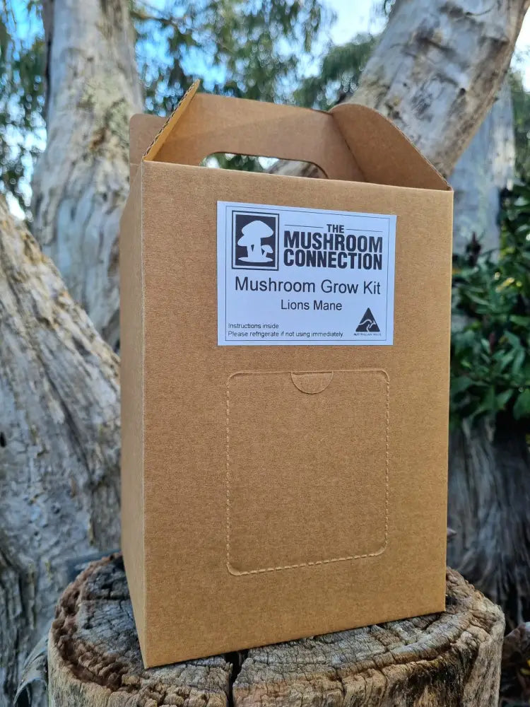 Lions Mane Mushroom Grow Kit - The Mushroom Connection