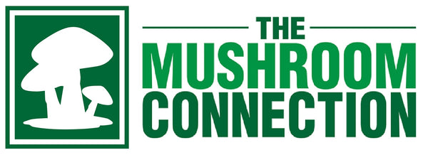 The Mushroom Connection