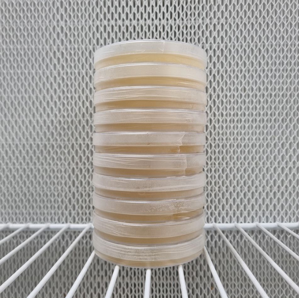 Pre-poured MEA Plates (90mm Petri Dish)