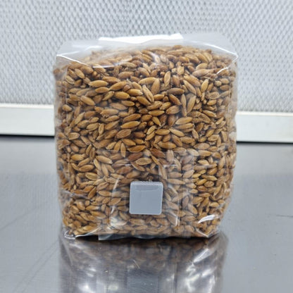Sterilized Oat Spawn - 500g (with injection port)