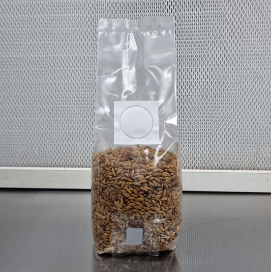 Sterilized Oat Spawn - 500g (with injection port)