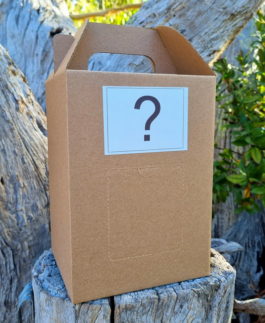 Mystery Mushroom Grow Kit