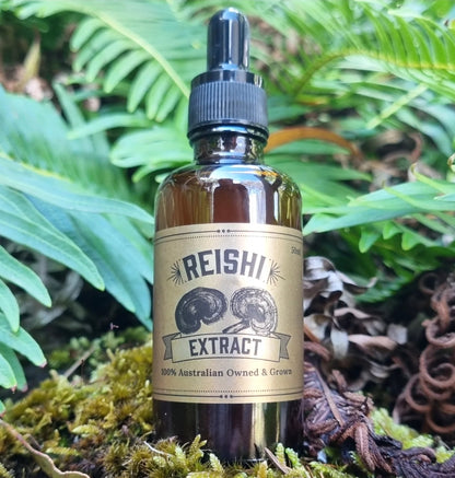 Reishi Mushroom Extract Tincture - The Mushroom Connection