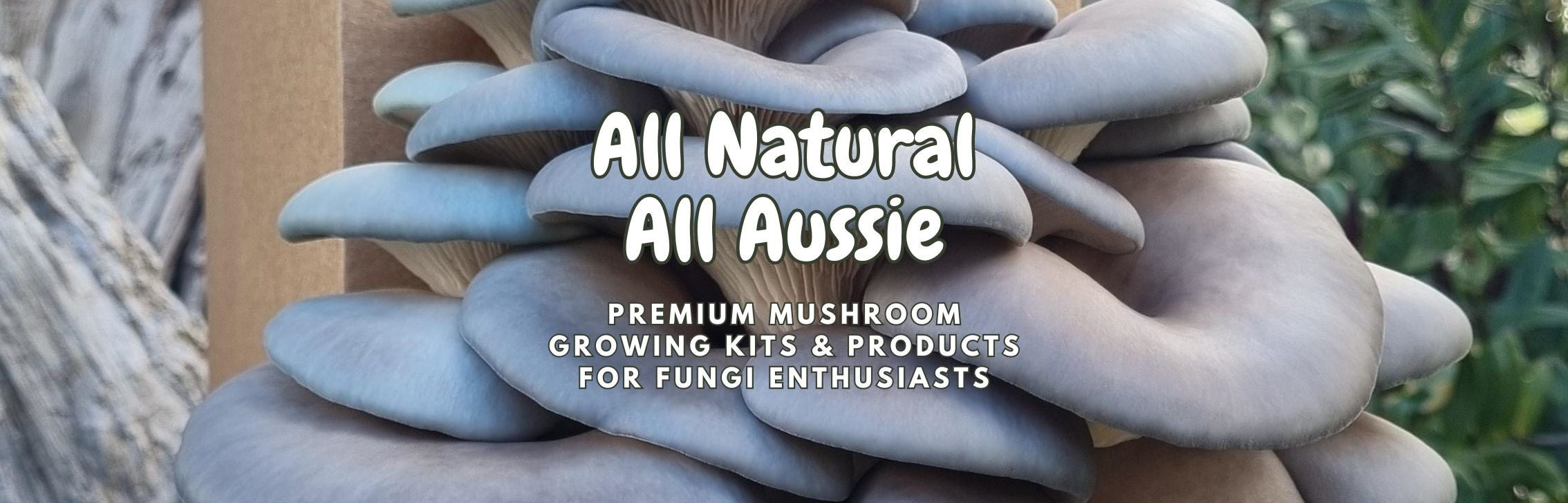 all natural all Aussie mushroom products