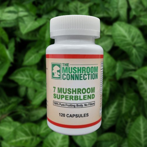 7 Mushroom SuperBlend Mushroom Capsules - The Mushroom Connection