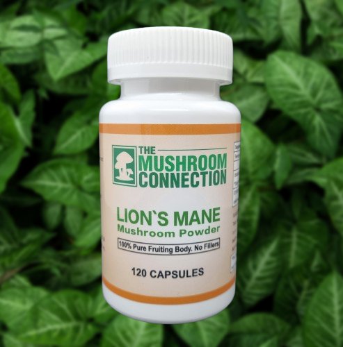 Lions Mane Mushroom Capsules - The Mushroom Connection