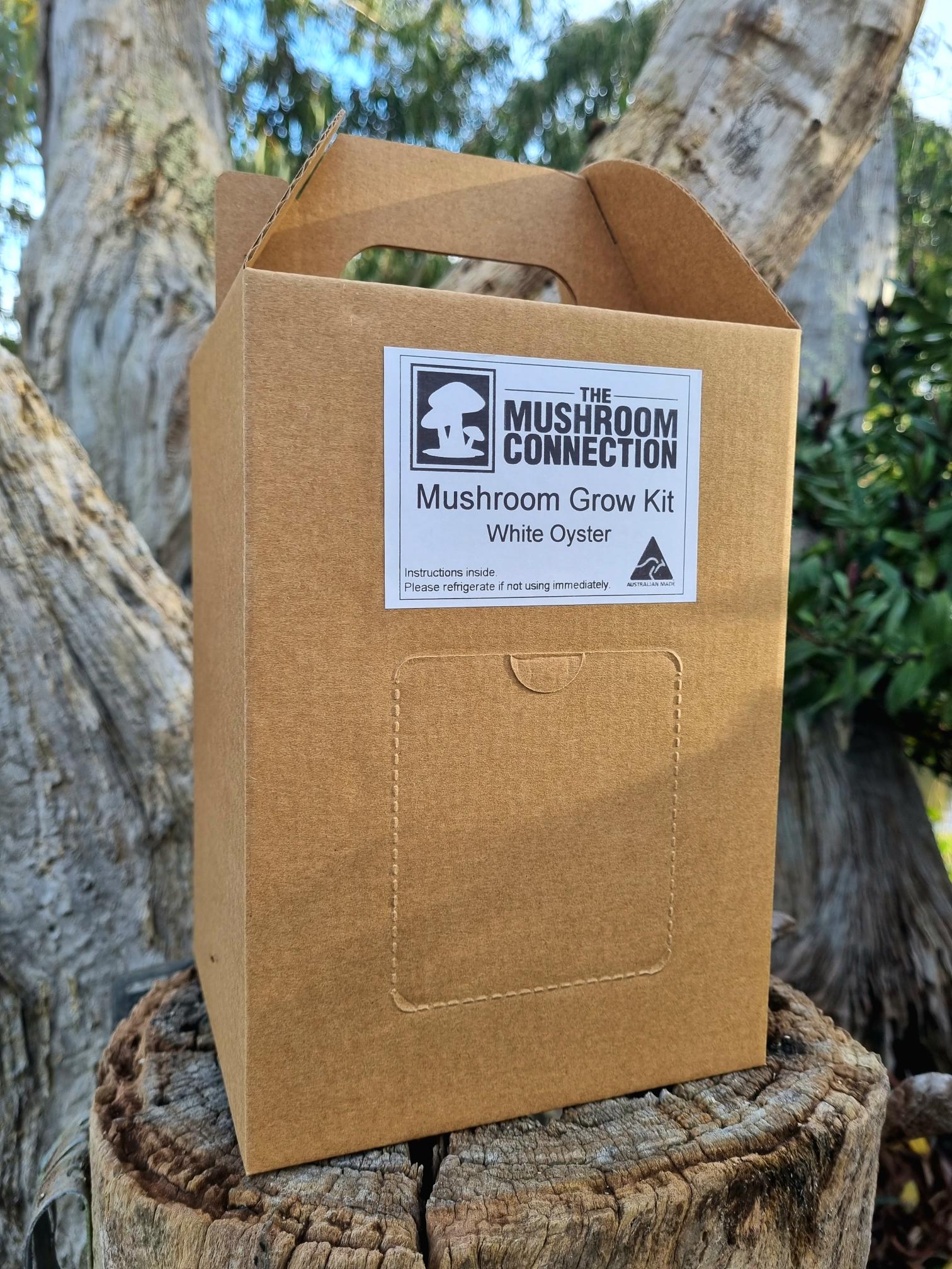 White Oyster Mushroom Grow Kit - The Mushroom Connection